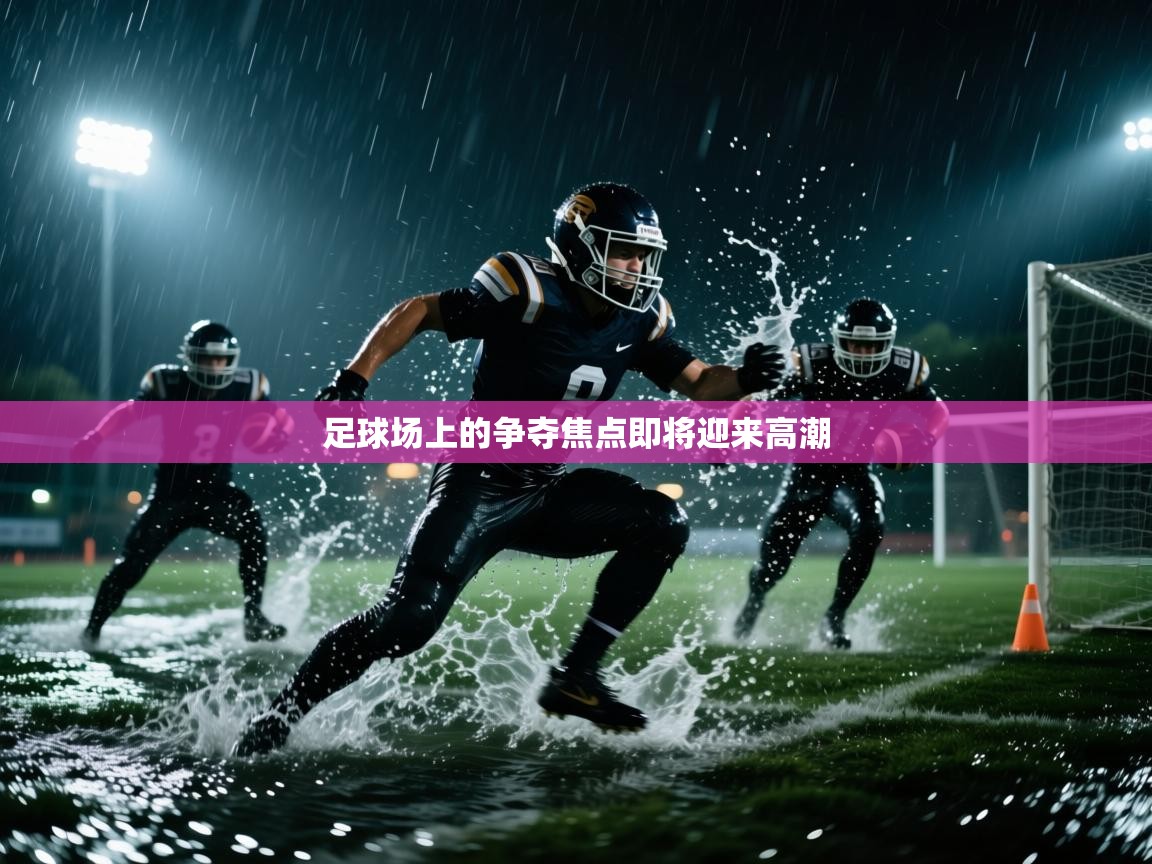 足球场上的争夺焦点即将迎来高潮 第1张
