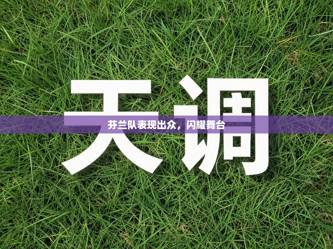 芬兰队表现出众，闪耀舞台  第1张